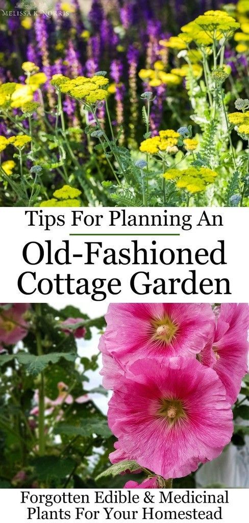 How to Design a Cottage Garden- Forgotten Medicinal & Edible Plants -   13 planting Garden awesome ideas
