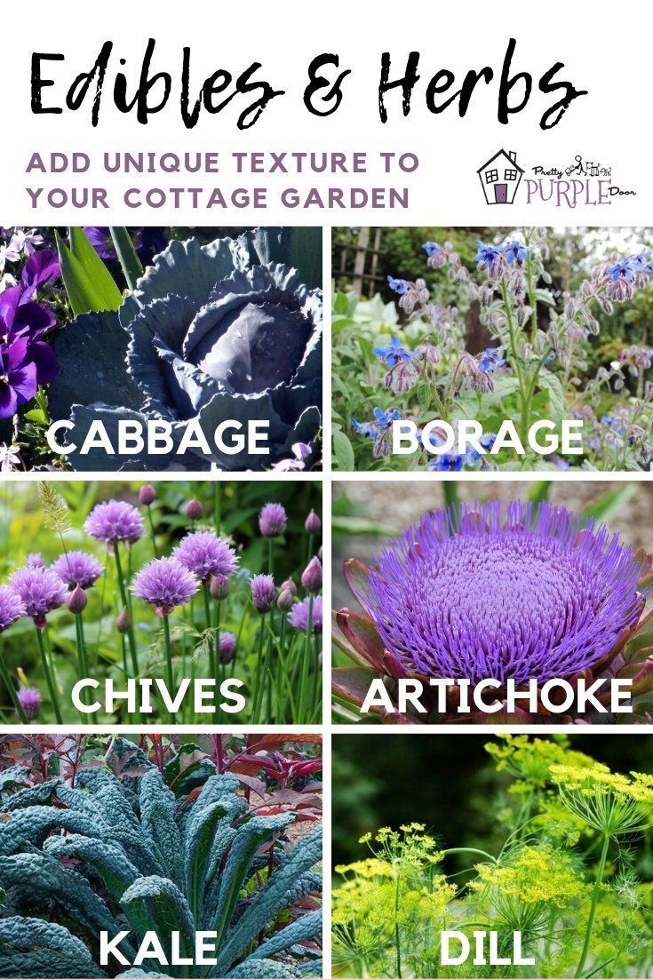 Plant Texture: for a garden you hafta touch | Pretty Purple Door -   13 plants Texture landscapes ideas