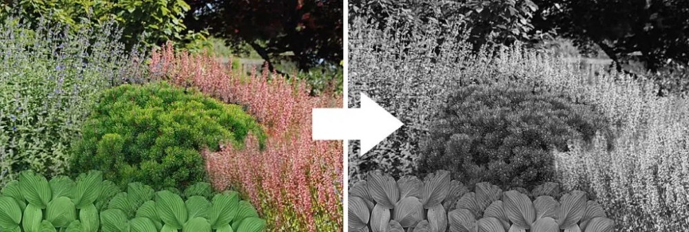 Plant Texture: for a garden you hafta touch | Pretty Purple Door -   13 plants Texture landscapes ideas