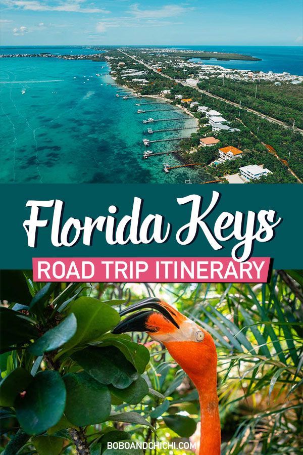 The Perfect 5 Day Florida Keys Road Trip Itinerary -   13 travel destinations Florida trips ideas