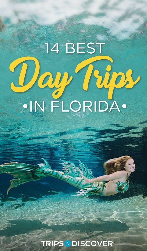 14 Fun Day Trips in Florida For Your Next Weekend Adventure -   13 travel destinations Florida trips ideas