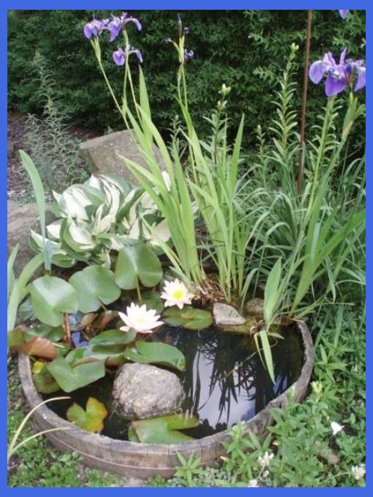 20 Charming DIY Mini Ponds In a Pot on a Budget | Diy Mini Pond | Fountains Backyard | Water ... -   14 garden design Water mini pond ideas