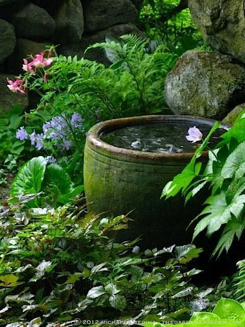 Secret Garden Water Bowl -   14 garden design Water mini pond ideas