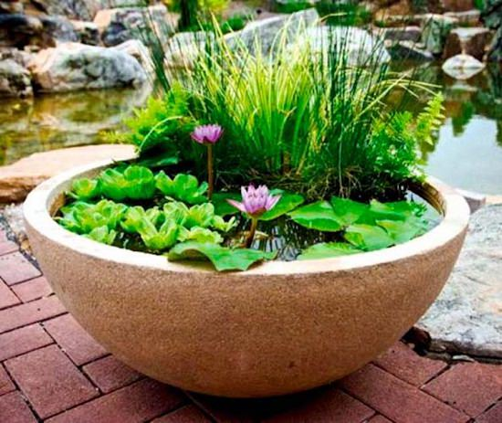 How To Create A Container Water Garden | Pond In A Pot -   14 garden design Water mini pond ideas