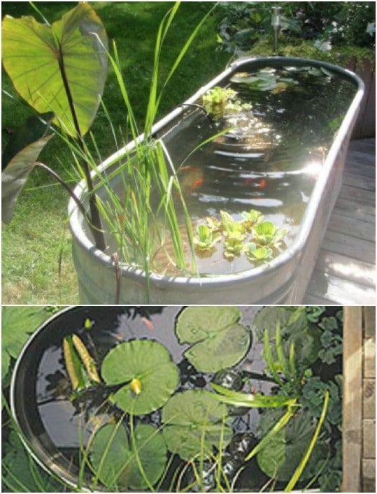 20 Charming And Cheap Mini Water Garden Ideas For Your Home And Garden -   14 garden design Water mini pond ideas