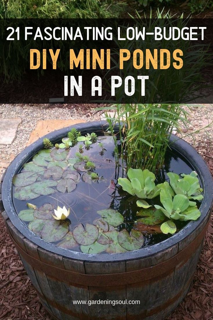 21 Fascinating Low-Budget DIY Mini Ponds In a Pot -   14 garden design Water mini pond ideas