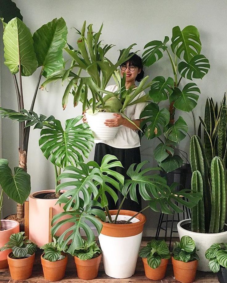House of Many Plants on Instagram: “Life is good with plants -   14 planting Indoor photography ideas