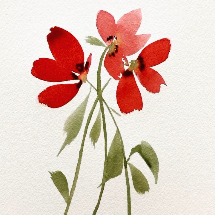 Watercolor Poppies -   14 plants Drawing watercolor ideas