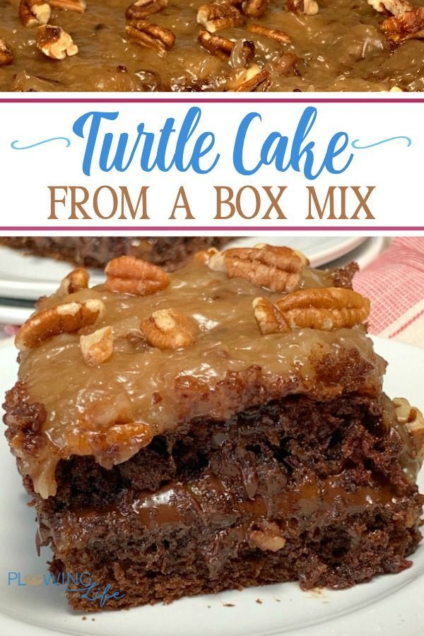 Turtle Cake From a Box Mix -   15 cake Simple middle ideas