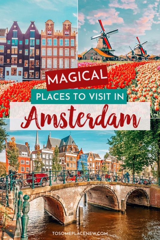 Amsterdam Things to do in 2 days -   15 travel destinations Amsterdam europe ideas