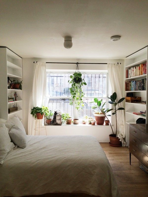 16 plants Apartment curtains ideas