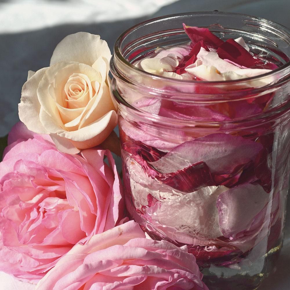 DIY Skin Care Recipes :: How to Make Old Fashioned Rosewater -   17 skin care Recipes skincare ideas