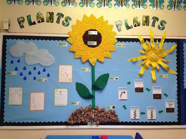Plants, Pollen, Seeds, Grow, Flower, Display, Classroom Display -   13 planting Art ks2 ideas
