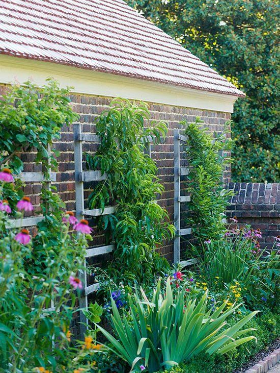 Small Garden Ideas -   14 garden design Narrow fence ideas