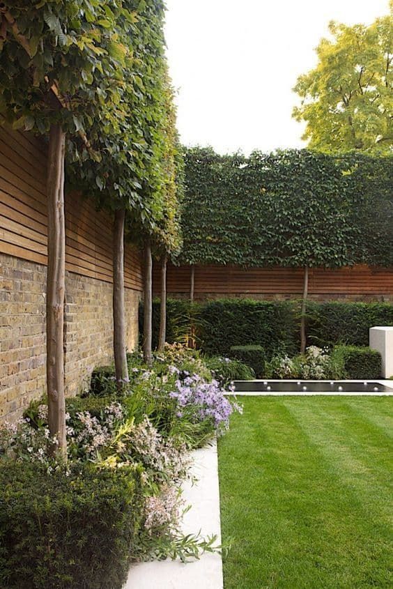 Secluded Sanctuary Backyard Fence Design Ideas -   14 garden design Narrow fence ideas