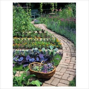 Garden Design Narrow Brick Path 60+ Ideas -   14 garden design Narrow fence ideas