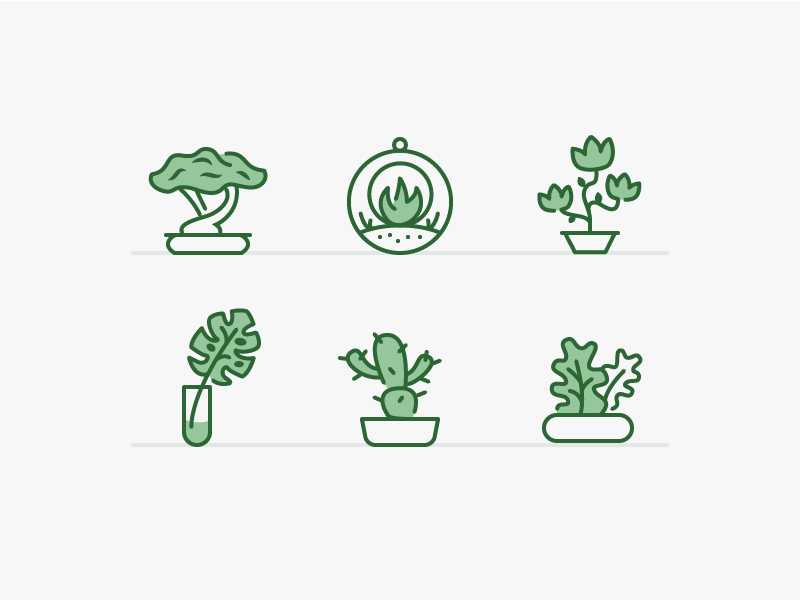 Plants & Pots -   14 plants Potted illustration ideas