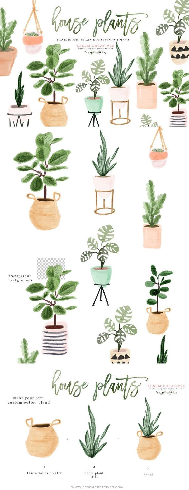 14 plants Potted illustration ideas