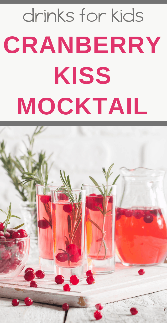 Cranberry Kiss Mocktail Recipe (non-alcoholic cocktail) -   15 holiday Time cranberry juice ideas