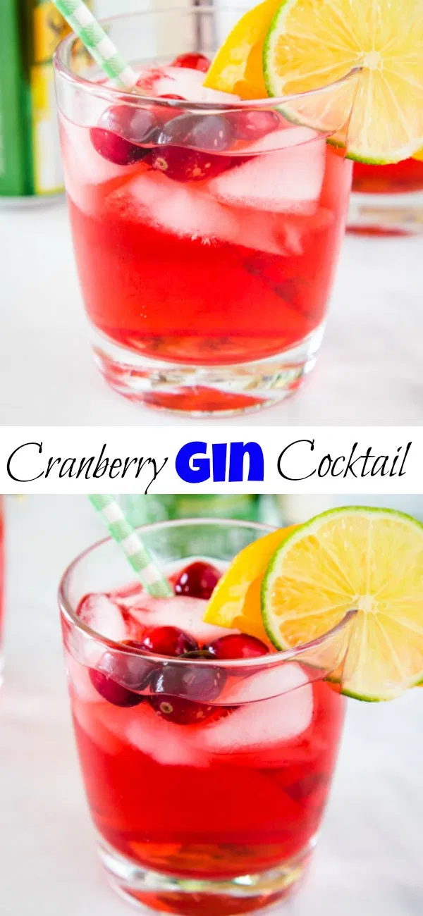 Cranberry Gin Cocktail -   15 holiday Time cranberry juice ideas