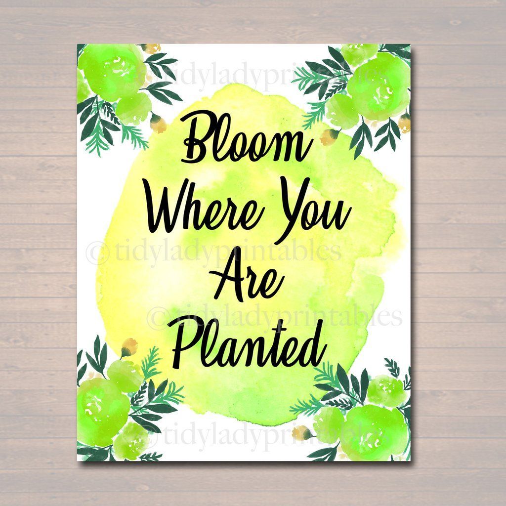 16 planting Quotes for teachers ideas