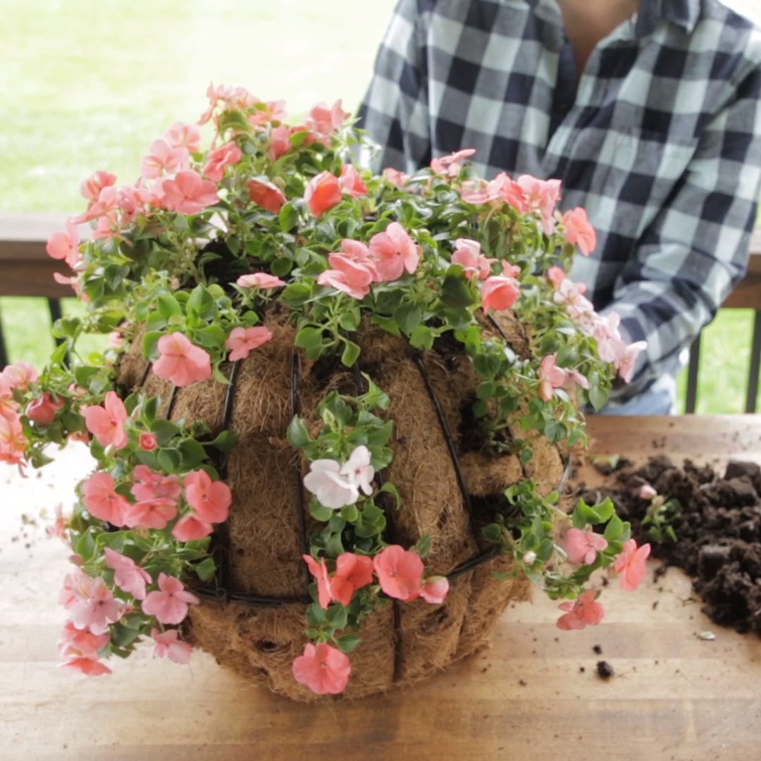 How to Plant a Beautiful Sphere Hanging Basket in Just 20 Minutes -   16 plants Outdoor design ideas