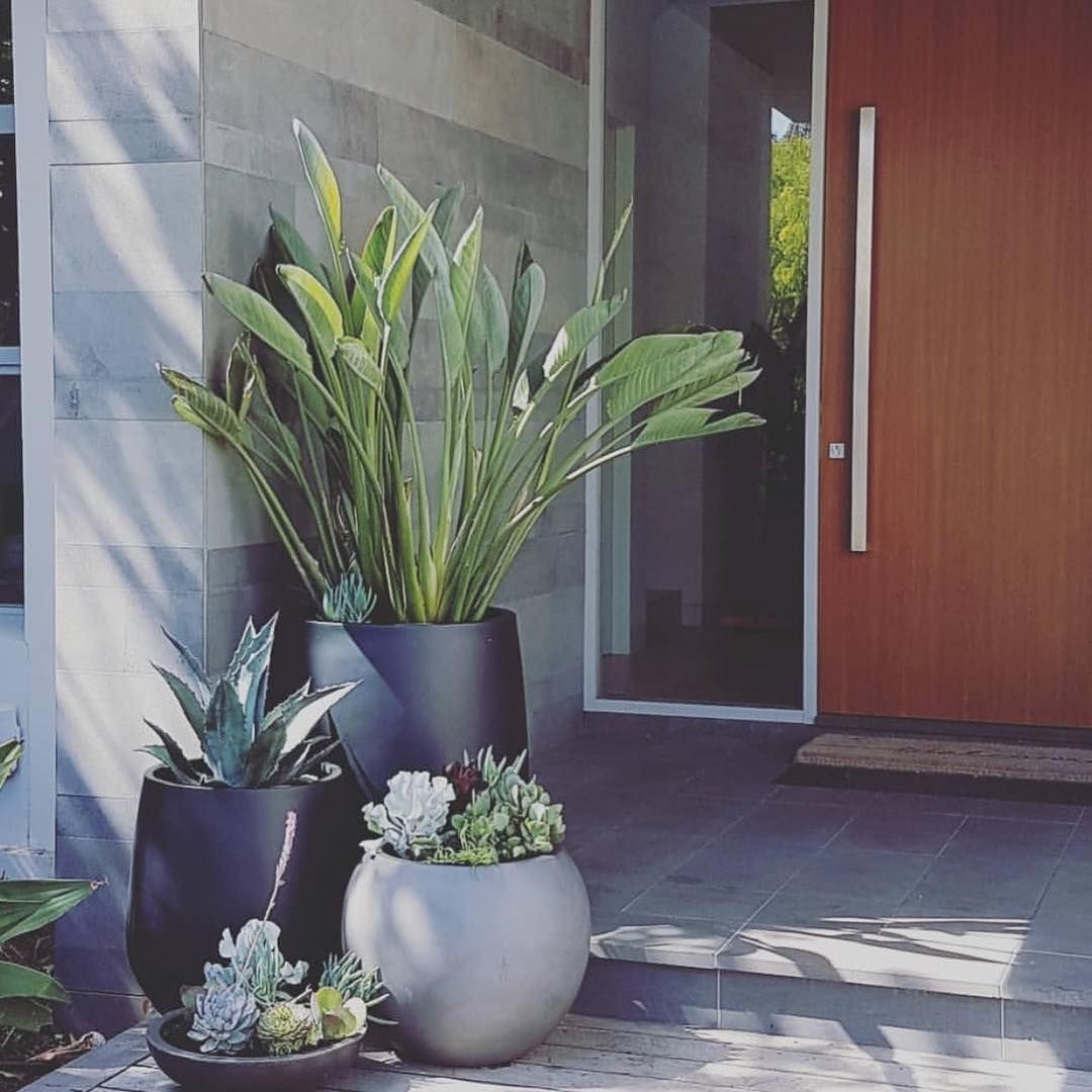 Balcony garden - The Balcony Garden   Featured Projects by MG Gardens   desingerpots pots greenery entrance styling outdoorliving plantsandpots blackpots greypots -   16 plants Outdoor design ideas