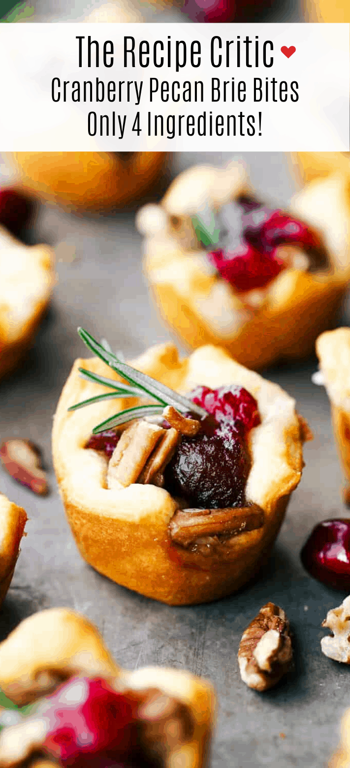 Cranberry Pecan Brie Bites (4 ingredients!) | The Recipe Critic -   17 savory holiday Food ideas