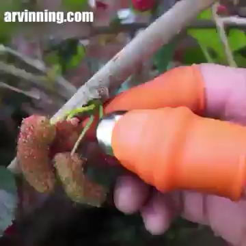 Pick vegetables, pick fruit thumb knife -   20 garden design Vegetable videos ideas