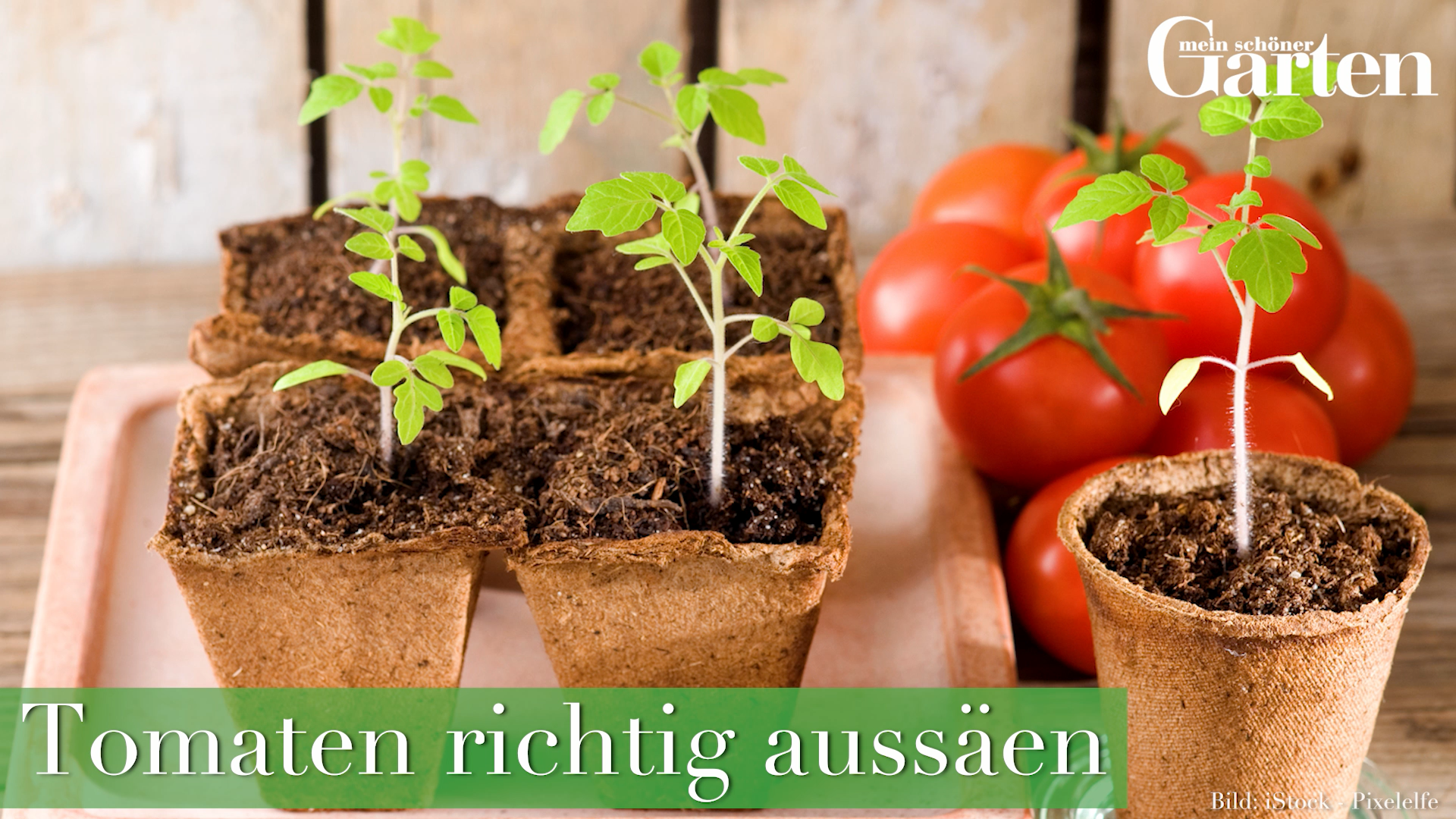 Tomaten richtig auss?en -   20 garden design Vegetable videos ideas