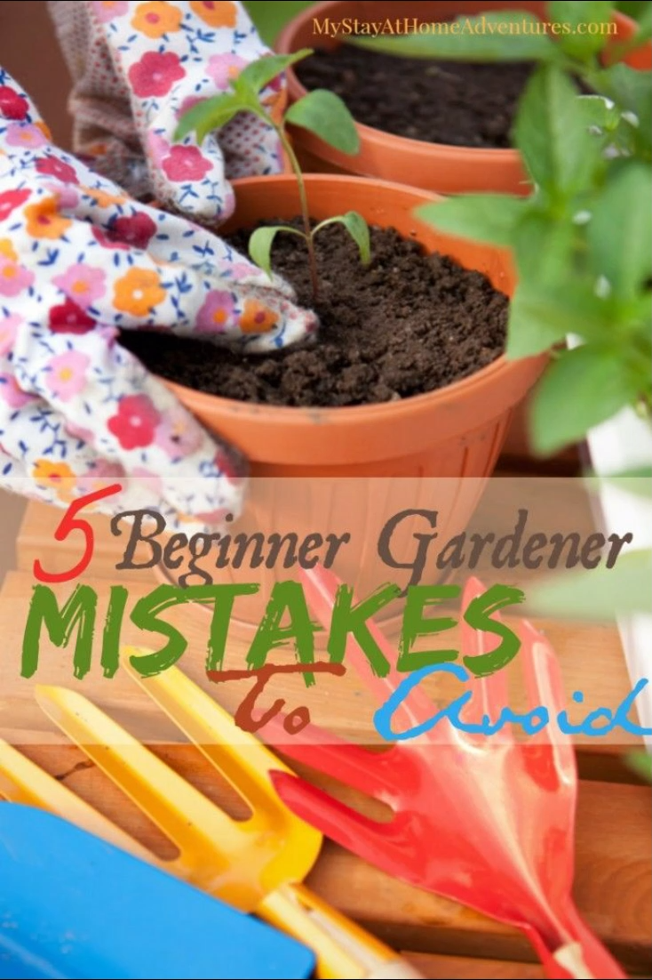 5 Gardening Mistakes To Avoid This Season -   20 garden design Vegetable videos ideas