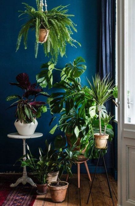 Bedroom green plants sunrooms 46 New Ideas -   11 plants In Bedroom life ideas