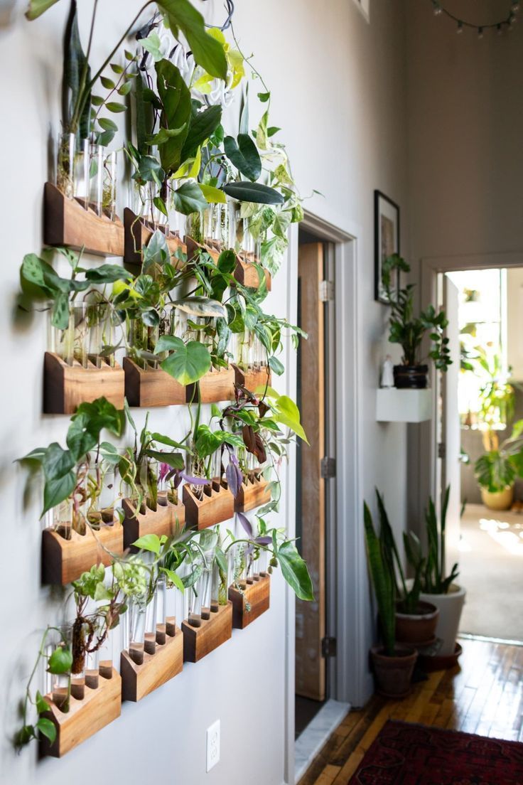 The Plant Doctor's Baltimore Home and Studio Are Absolutely Filled With Gorgeous Green Plants -   11 plants In Bedroom life ideas