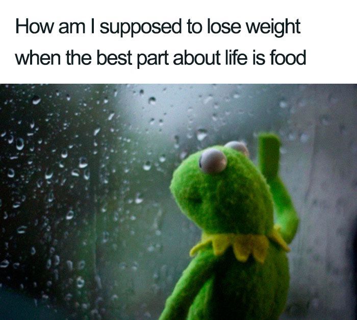 Funny-Diet-Weight-Loss-Memes -   13 anti diet Meme ideas