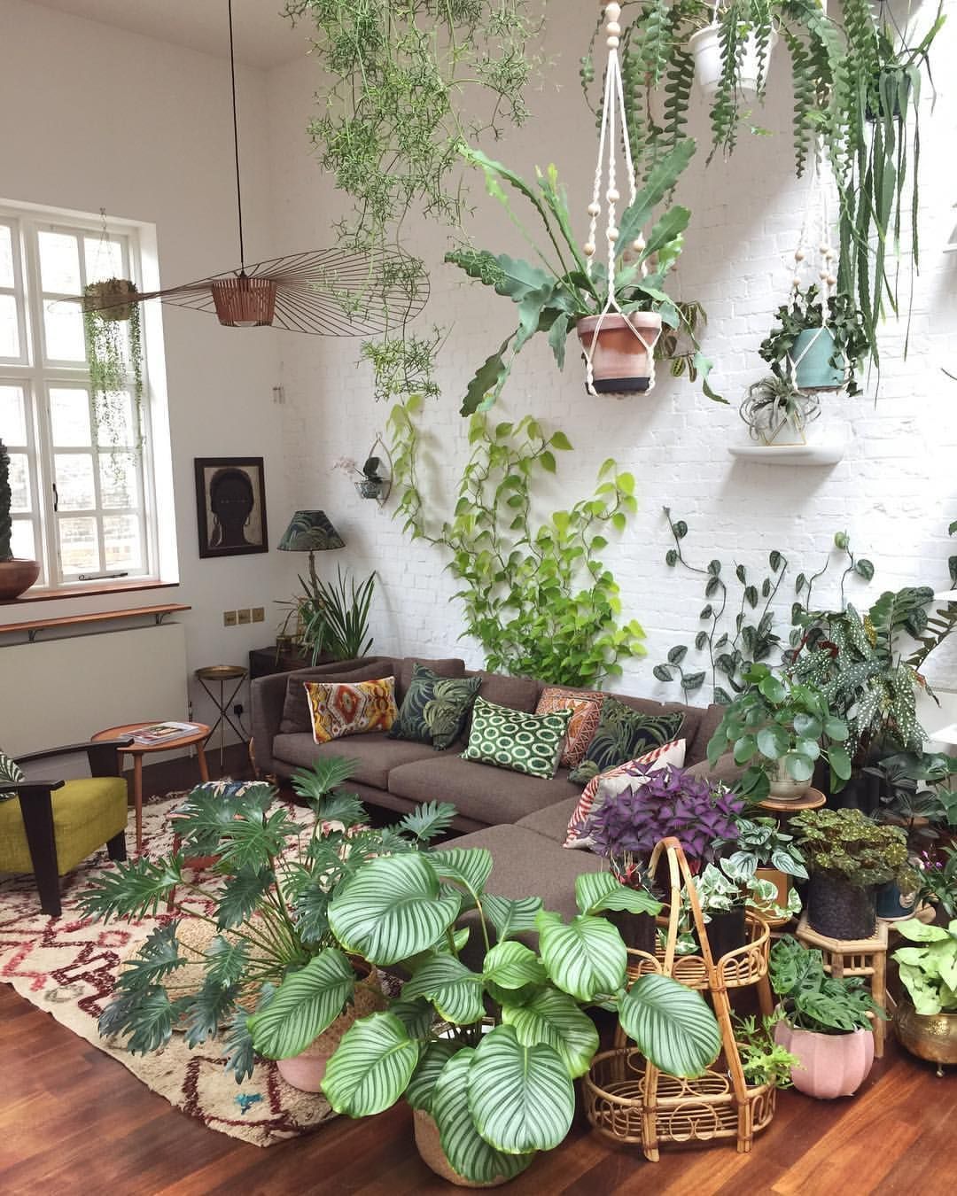 13 jungle planting Room ideas