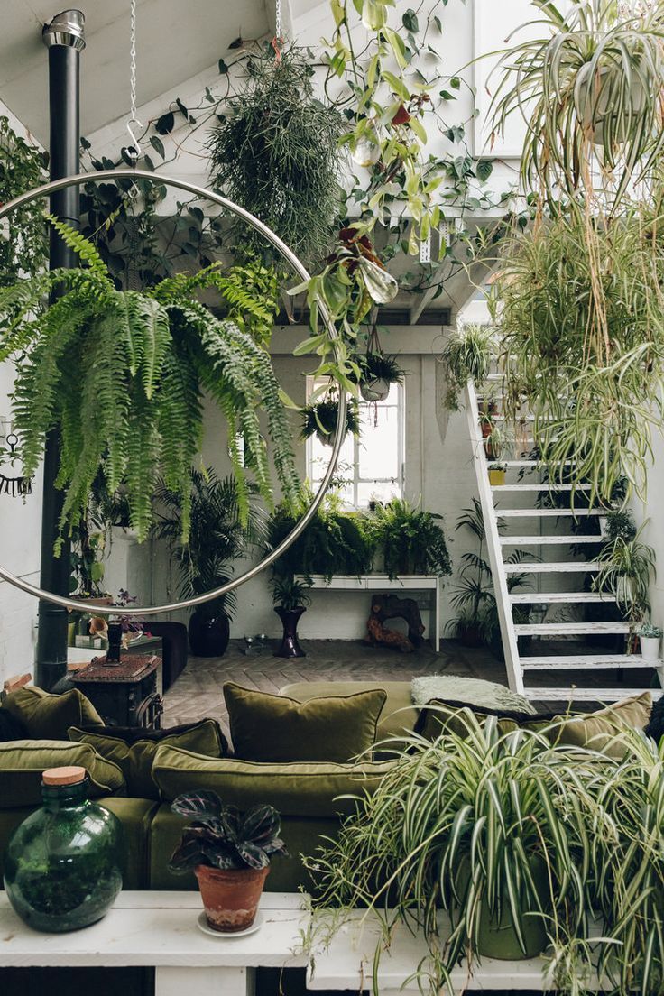 13 jungle planting Room ideas