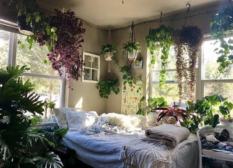 13 jungle planting Room ideas