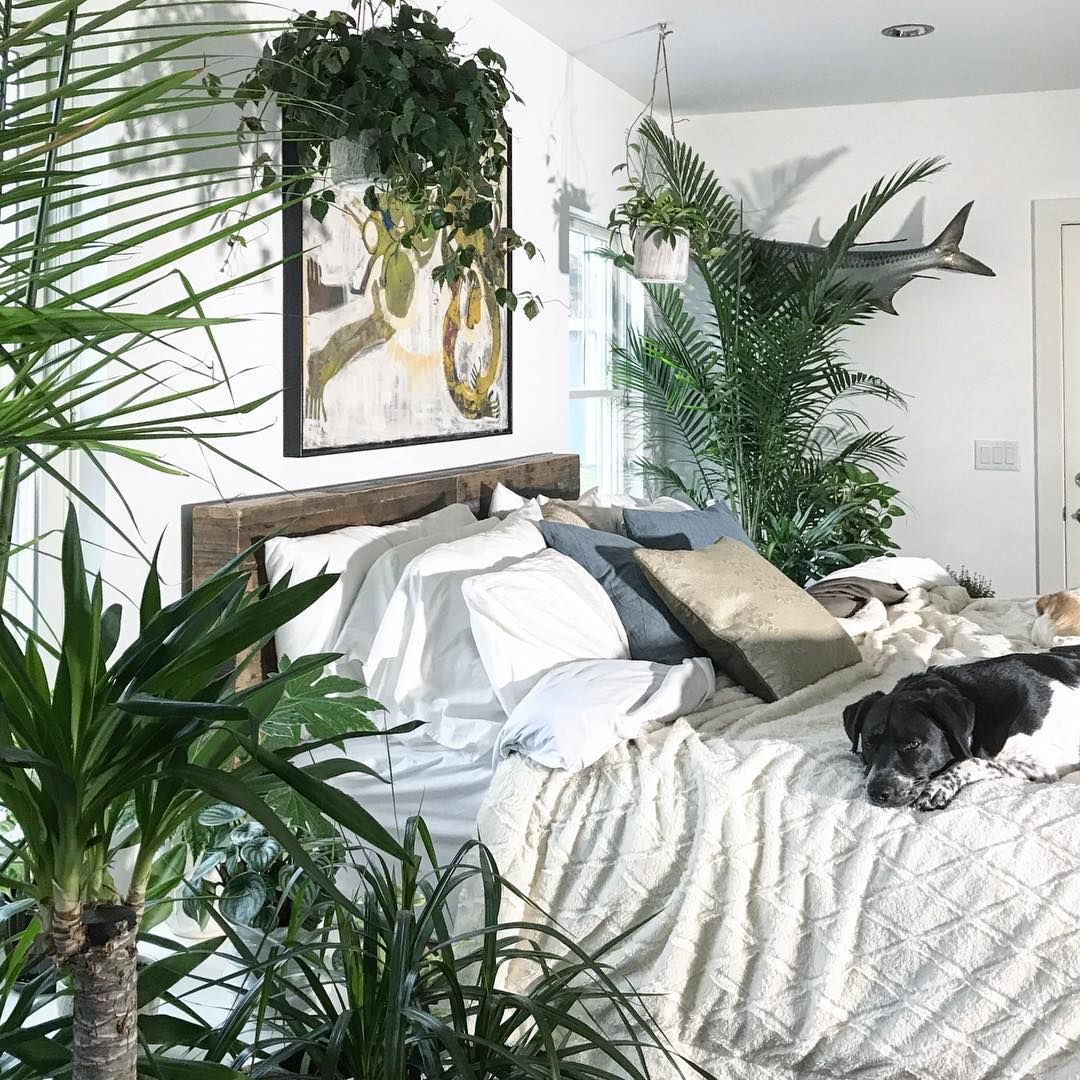 13 jungle planting Room ideas