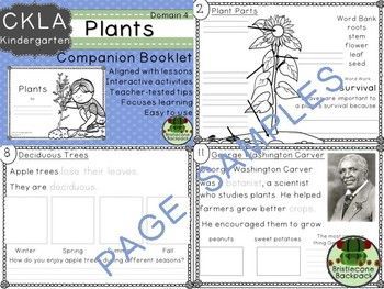 CKLA Domain 4 Kindergarten Plants Companion Booklet -   14 planting Kindergarten website ideas