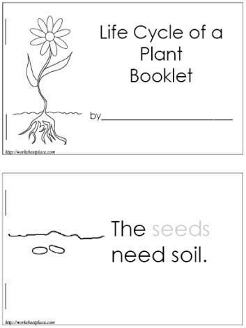 How Do Plants Grow? -   14 planting Kindergarten website ideas