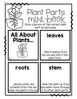 Plants (Printables, Journals, Experiments) -   14 planting Kindergarten website ideas
