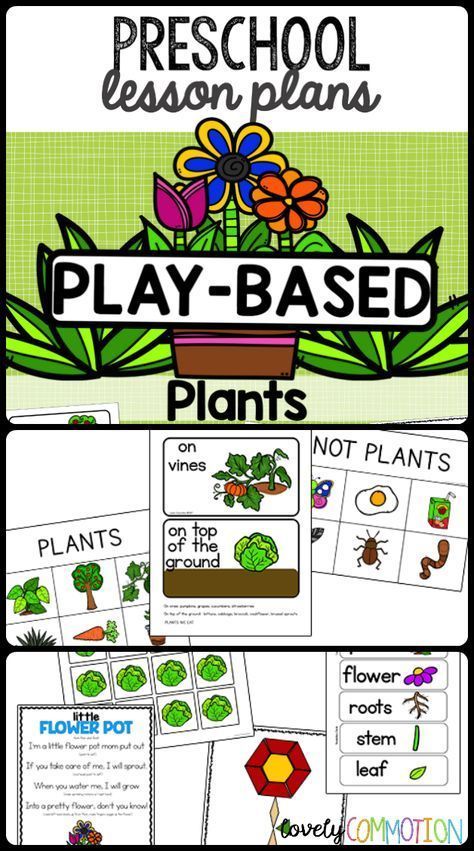 Preschool Lesson Plans- Plants -   14 planting Kindergarten website ideas