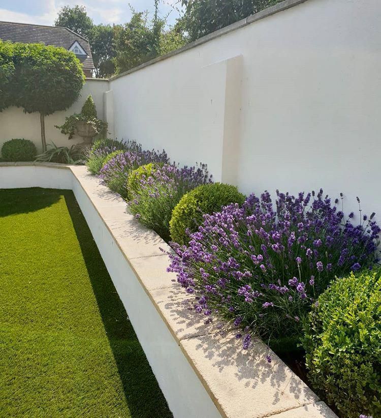 Minimalist garden - widn ? Reminising ? I'm sitting here wondering how my lavender are getting on  I can't wait to get stuck into our new garden  No doubt… Dise?odeJardines -   15 garden design Minimalist tuin ideas