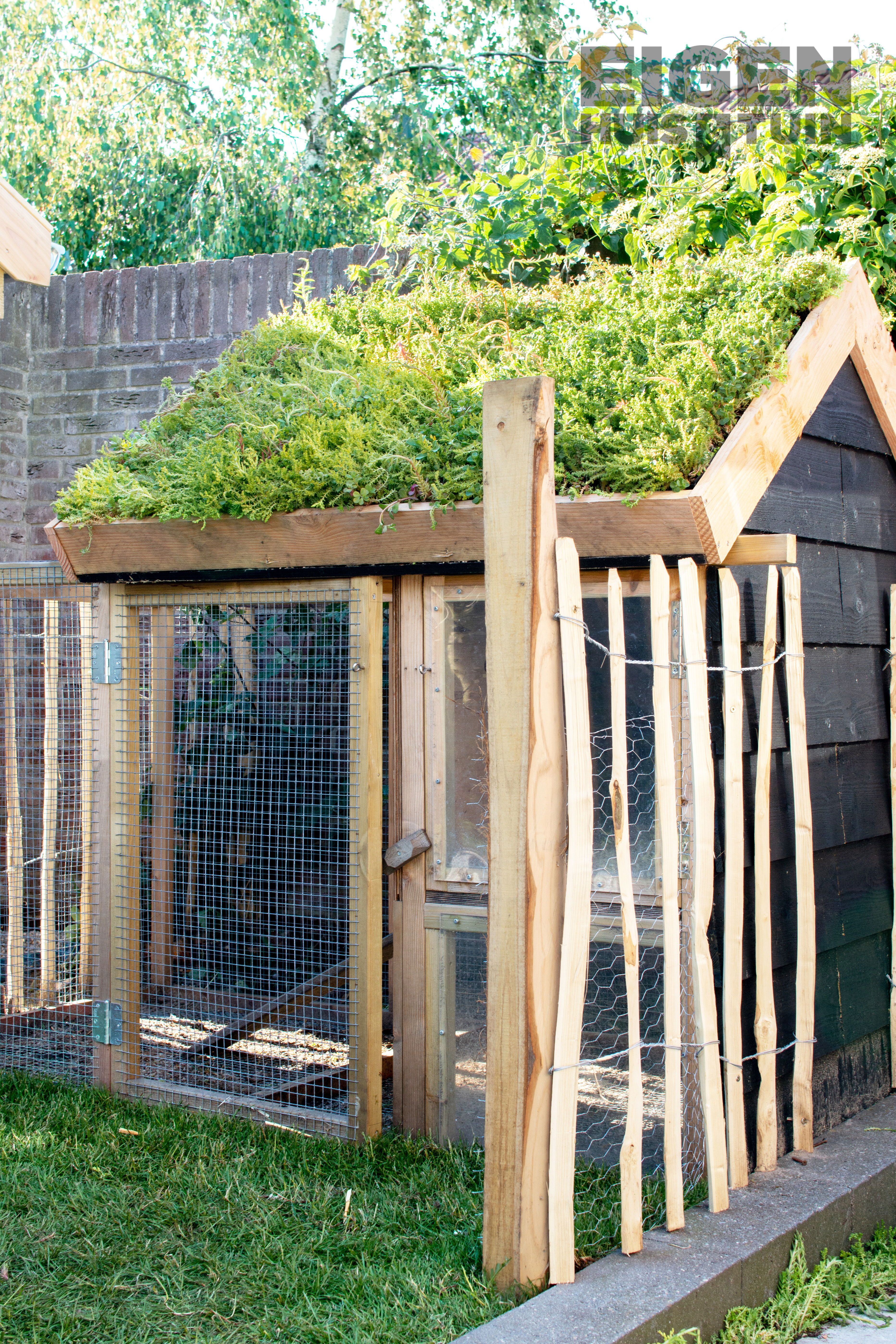 Een romantische tuin tussen de kippen en fruitbomen - Eigen Huis en Tuin -   15 garden design Minimalist tuin ideas