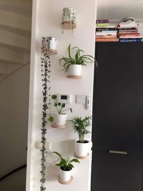 Plant Decor -   15 plants Home decor apartments ideas