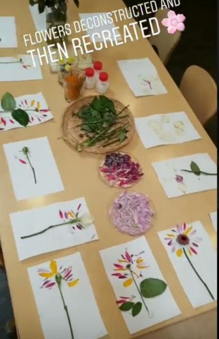 16 plants Teaching kids ideas