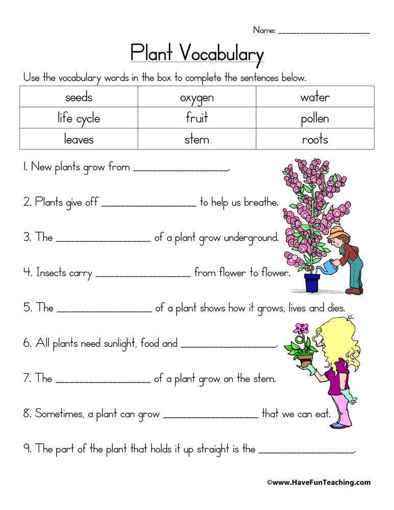 Plant Vocabulary Worksheet | Have Fun Teaching -   16 plants Teaching kids ideas