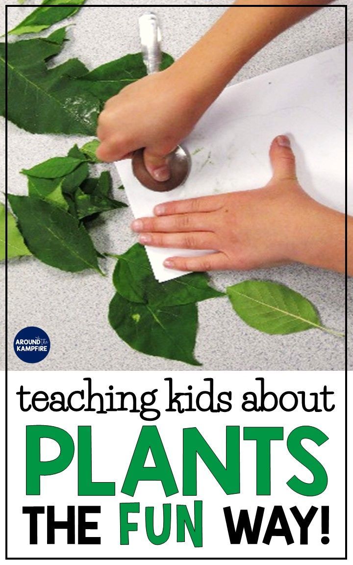 16 plants Teaching kids ideas