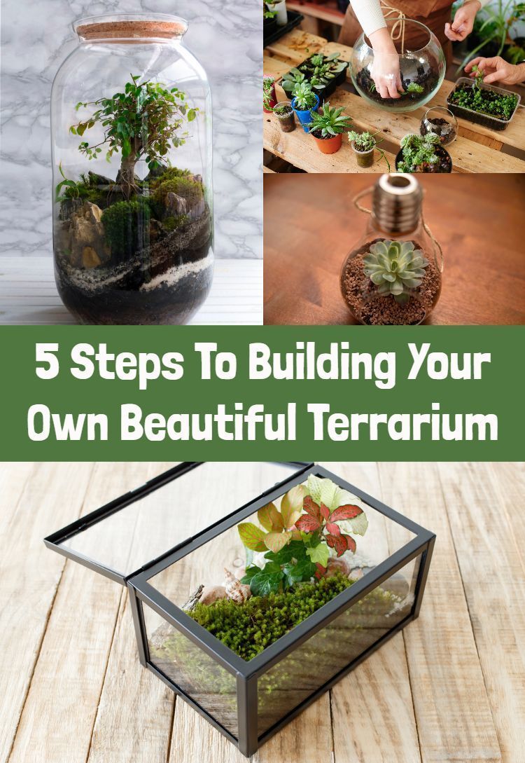 DIY Terrariums: Everything You Need To Know To Build Your Own Plant Terrarium -   18 planting DIY how to make ideas
