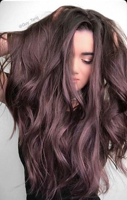 Trendy Hair Color Purple Brown Blondes Ideas -   9 hair Purple brown ideas